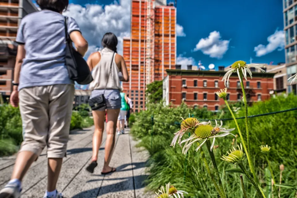 Low close-up of yellow flowers and pedestrians walking on New York City's High Line linear park.